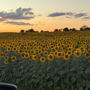 Meet your Posher, Pam